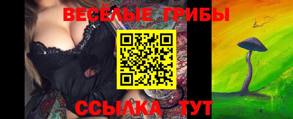 как найти   Галлюциногенные грибы прущие грибы  Алапаевск  Вход с VPN  Галлюциногенные грибы Cubensis 